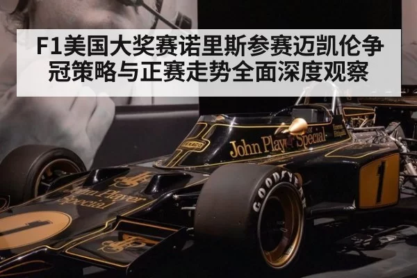 F1美国大奖赛诺里斯参赛迈凯伦争冠策略与正赛走势全面深度观察